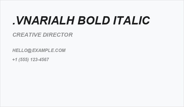 .VnArialH Bold Italic Business Card
