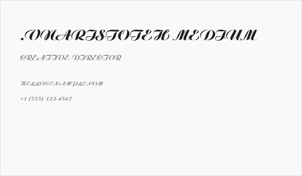 .VnAristoteH Medium Business Card