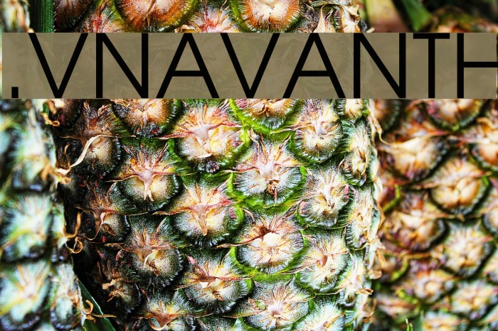 .VnAvantH Font examples