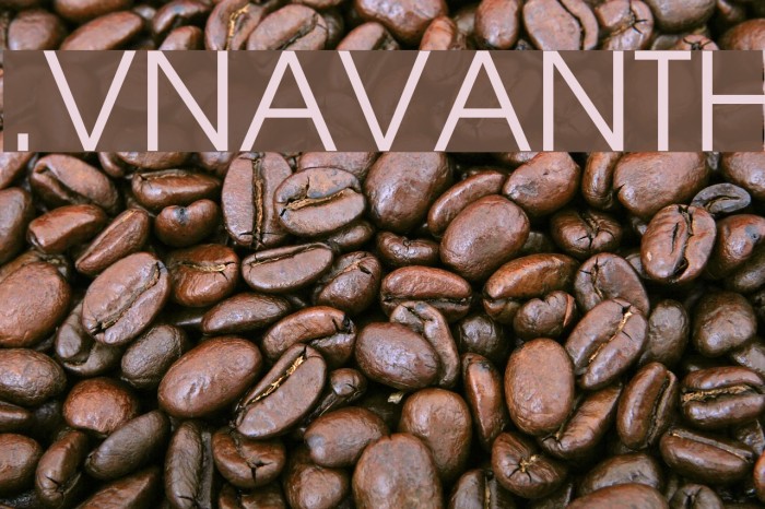 .VnAvantH Font examples