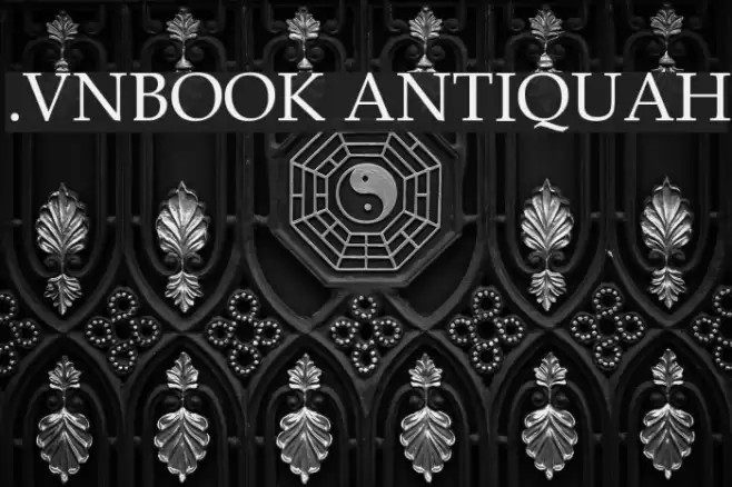 .VnBook AntiquaH Font examples