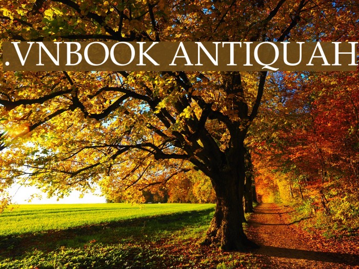 .VnBook AntiquaH Font examples
