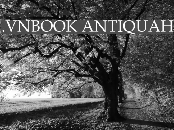 .VnBook AntiquaH Font examples
