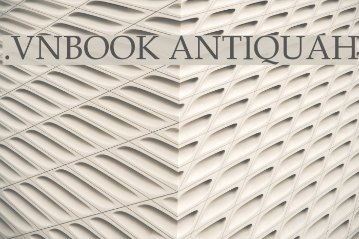 .VnBook AntiquaH Font examples