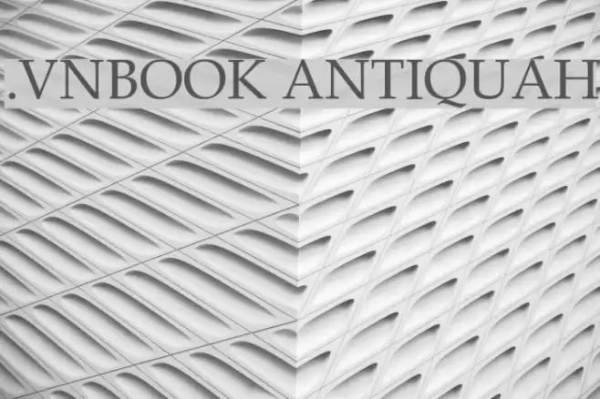 .VnBook AntiquaH Font examples