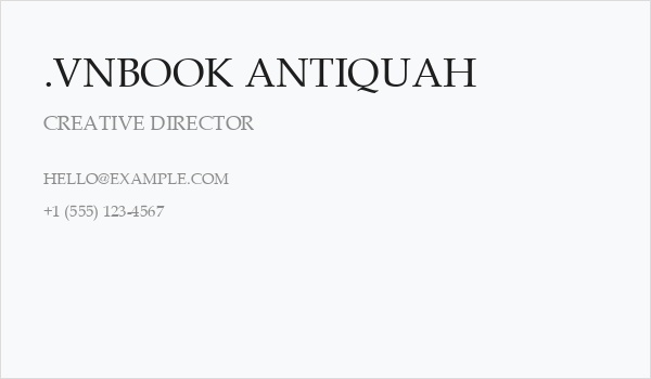 .VnBook AntiquaH Business Card