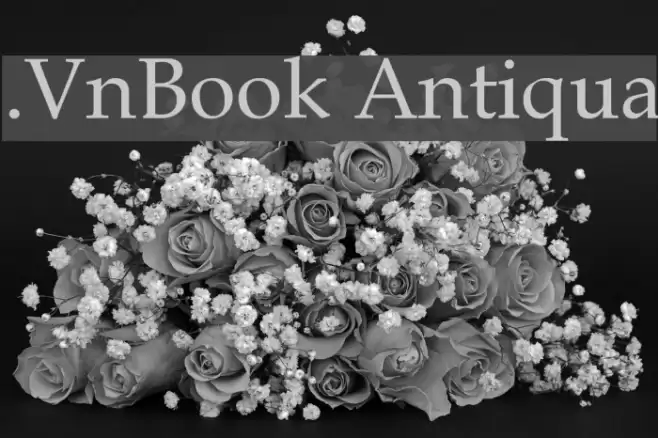 .VnBook Antiqua फ़ॉन्ट examples