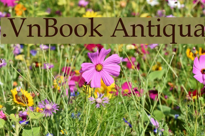 .VnBook Antiqua Font examples