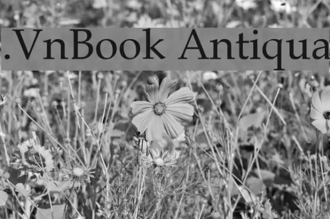 .VnBook Antiqua फ़ॉन्ट examples