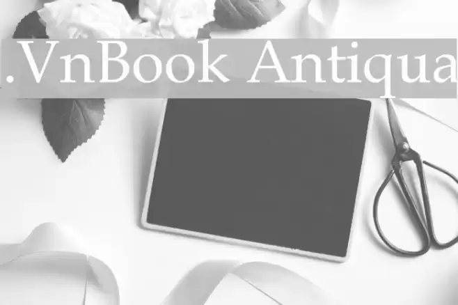 .VnBook Antiqua फ़ॉन्ट examples