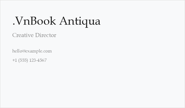 .VnBook Antiqua Business Card