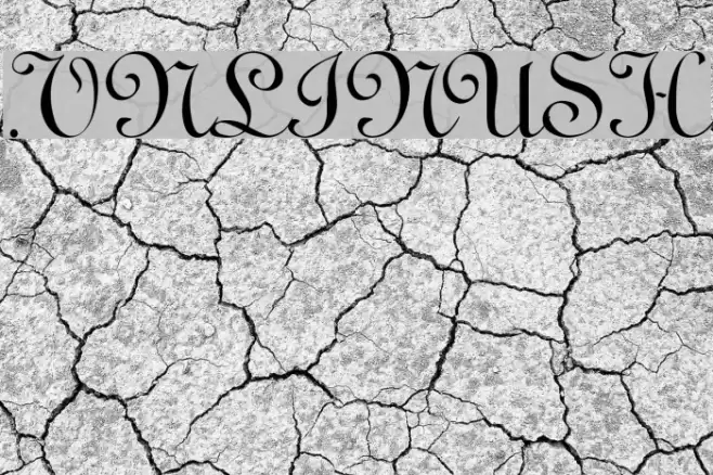 .VnLinusH خط examples