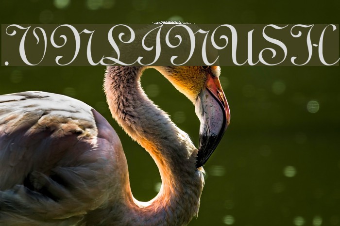 .VnLinusH Font examples