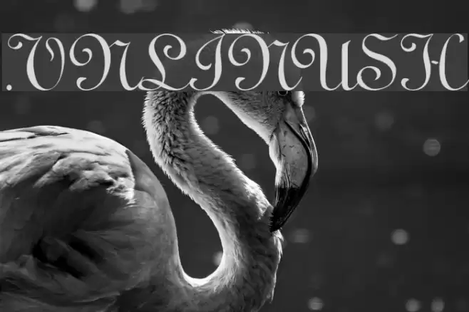 .VnLinusH خط examples