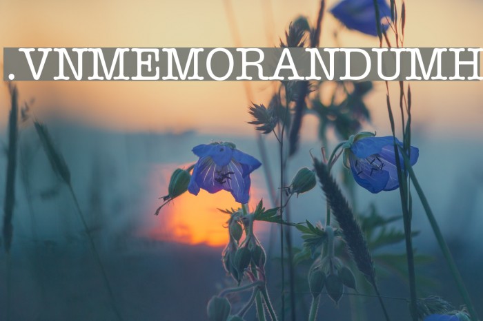.VnMemorandumH Font examples