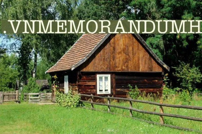.VnMemorandumH Example 3