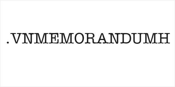 .VnMemorandumH Logo
