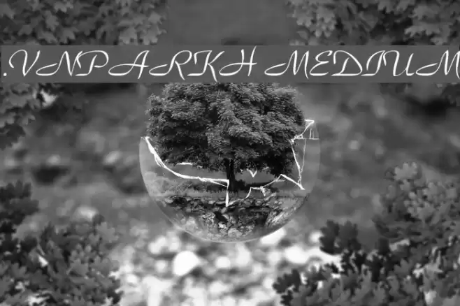 .VnParkH Medium Font examples