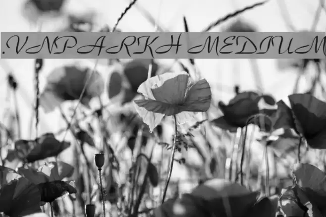 .VnParkH Medium Font examples