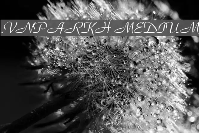 .VnParkH Medium Font examples