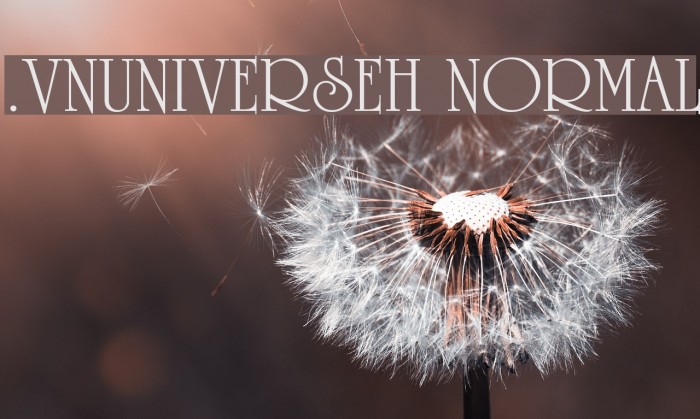 .VnUniverseH Normal Example 1