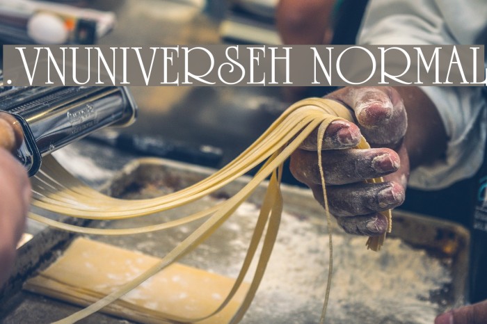 .VnUniverseH Normal Example 2