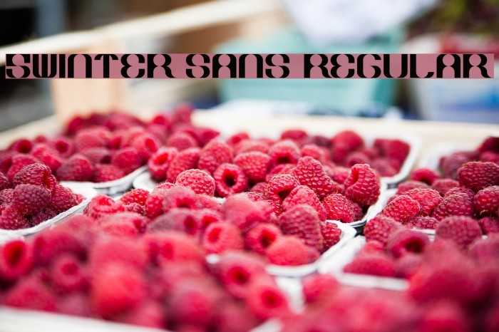 5Winter Sans Regular Example 3