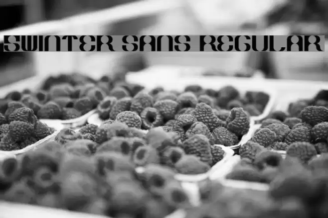 5Winter Sans Regular Font examples