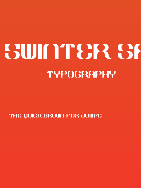 5Winter Sans Regular Poster