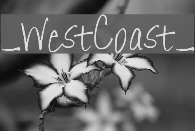 _WestCoast_ Font examples