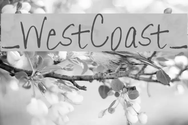 _WestCoast_ Font examples