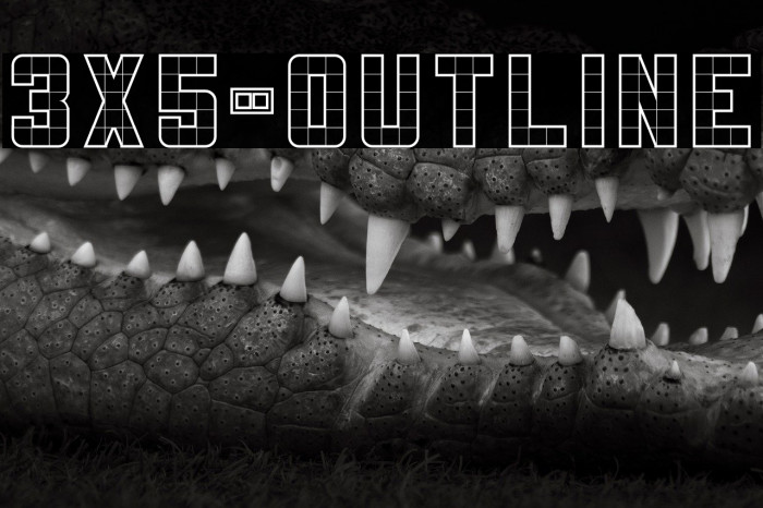 3x5-Outline Example 1