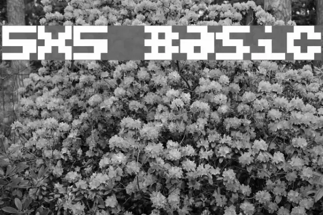 5X5 Basic Schriftart examples