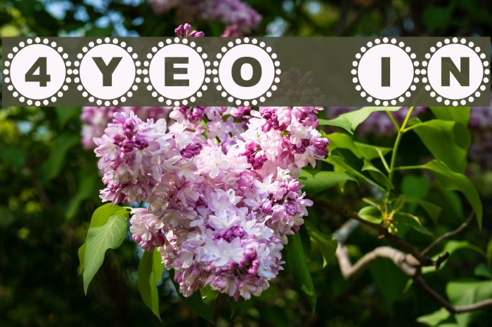 4YEO IN Font examples