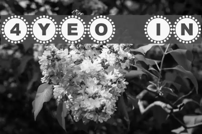 4YEO IN examples