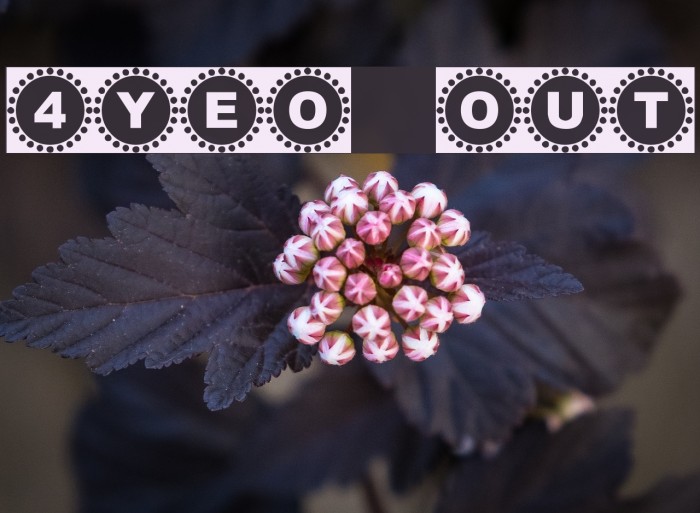 4YEO OUT Font examples