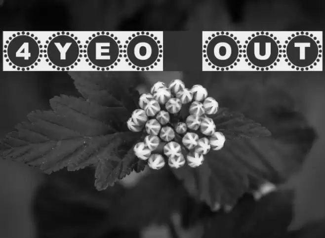 4YEO OUT Polices examples