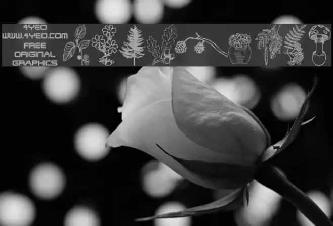 4YEOgarden Schriftart examples
