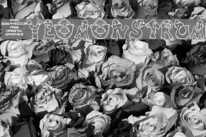 4YEOmonstrum フォント examples