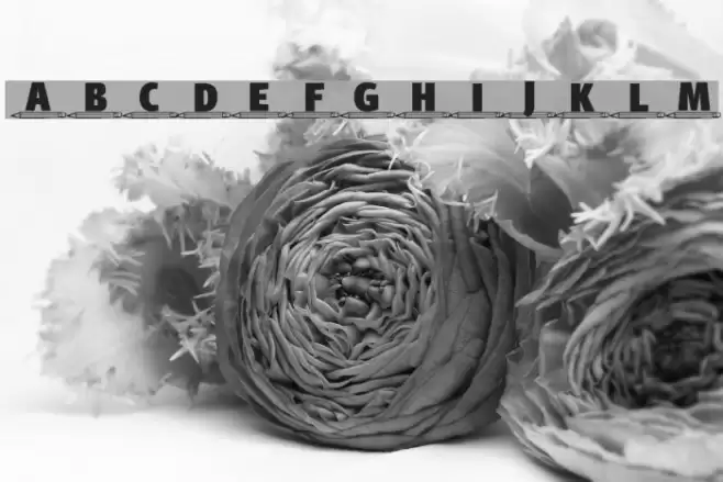 4YEOschool फ़ॉन्ट examples