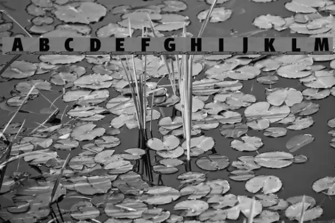 4YEOschool फ़ॉन्ट examples