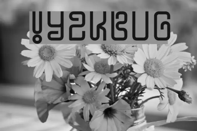 !Y2KBUG Caratteri examples