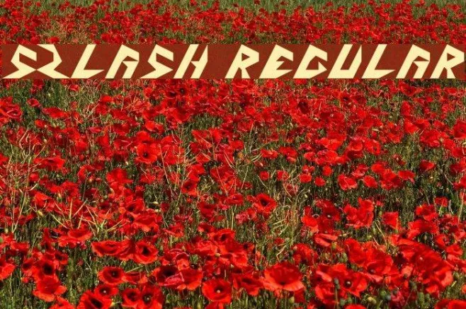 5Zlash Regular Example 1