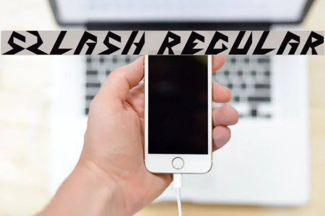 5Zlash Regular Example 3