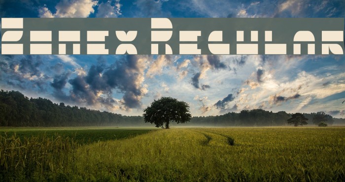 5Zonex Regular Font examples