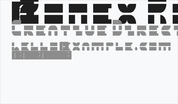 5Zonex Regular Business Card