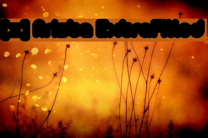 [z] Arista ExtraFilled Example 1