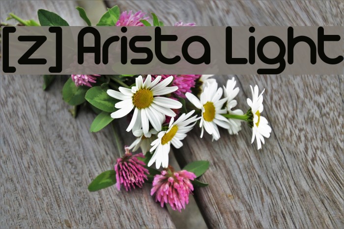 [z] Arista Light Example 2