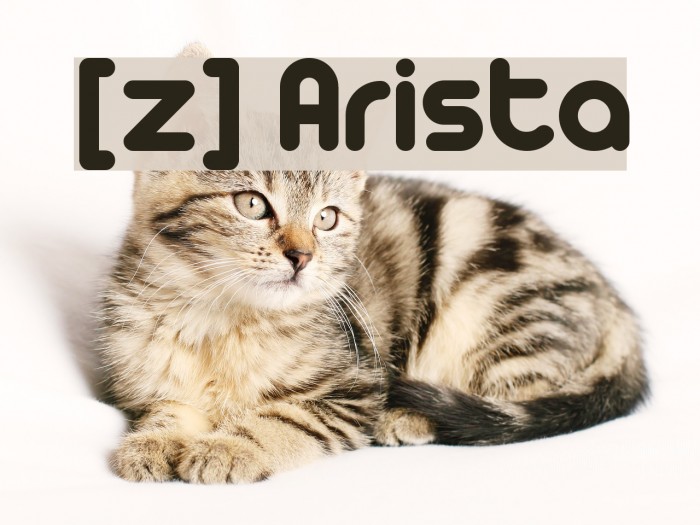 [z] Arista Example 3