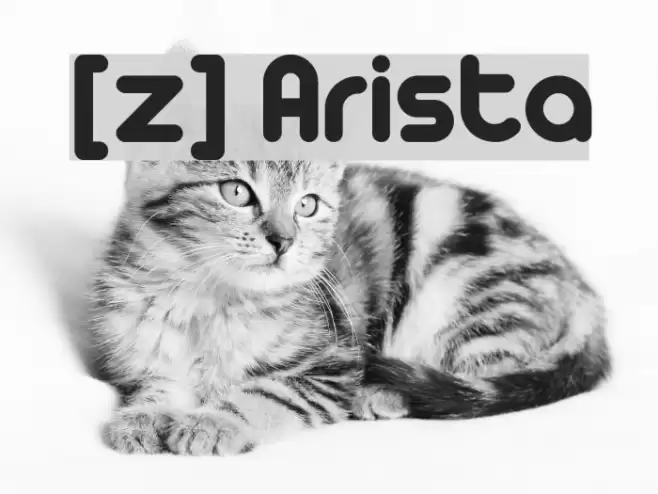 [z] Arista Font examples